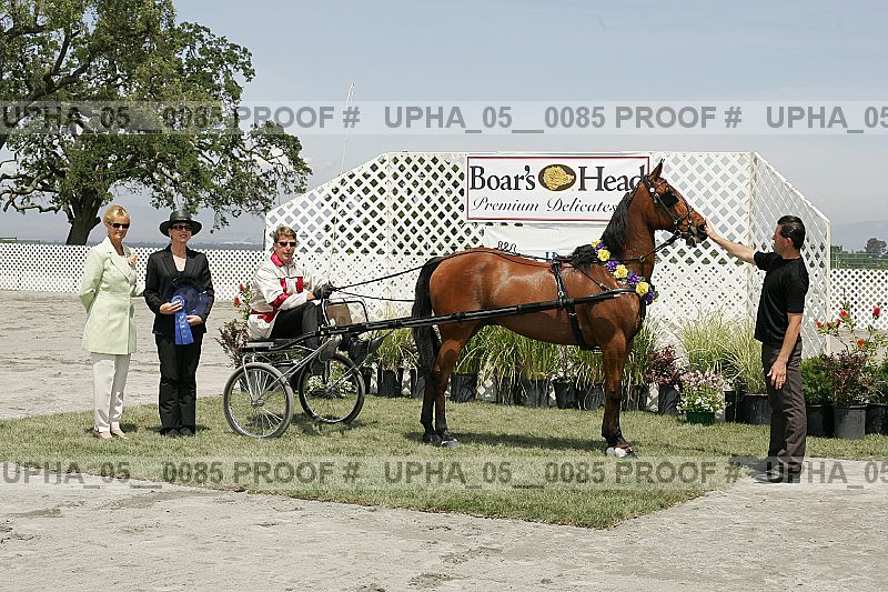 Proof upha_05__0085