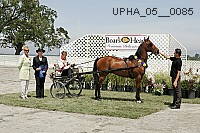 upha_05__0085 proof