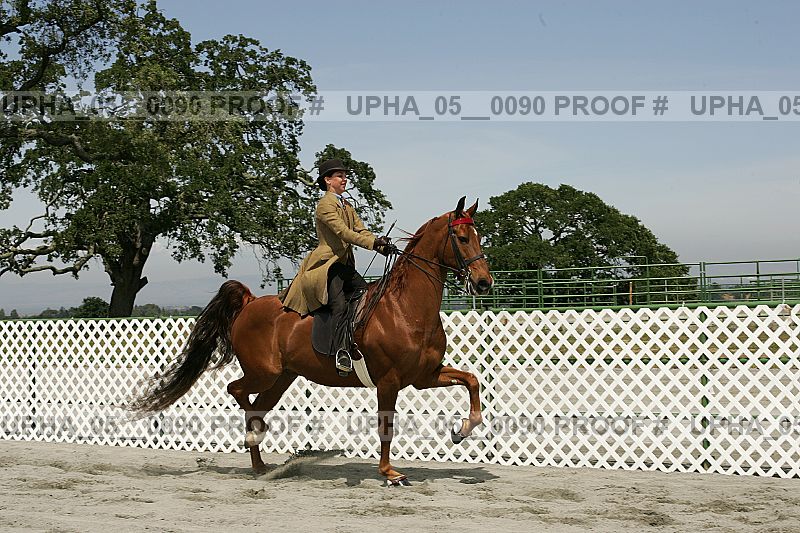Proof upha_05__0090