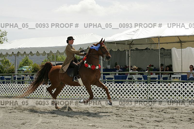 Proof upha_05__0093