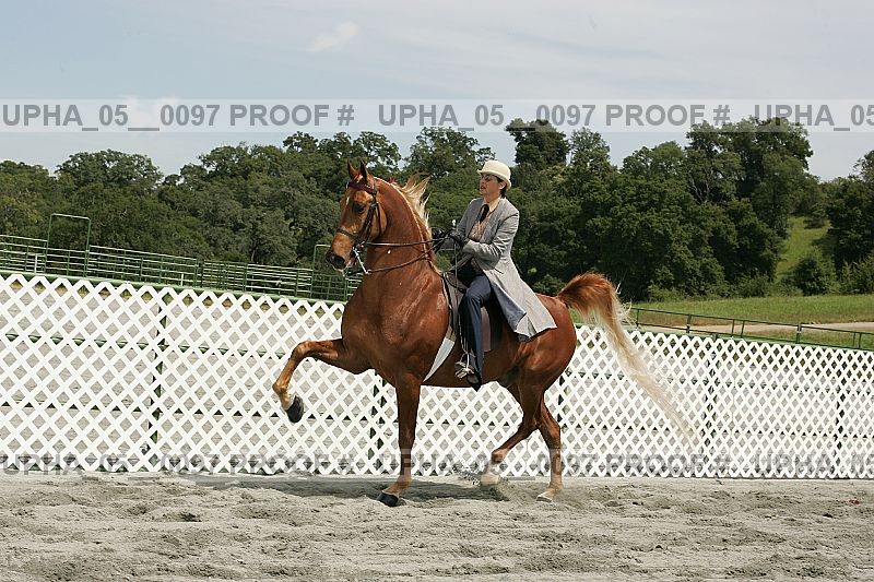 Proof upha_05__0097