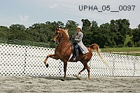 upha_05__0097 proof