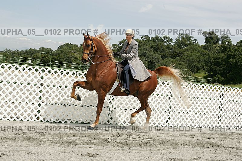 Proof upha_05__0102