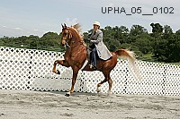 upha_05__0102 proof