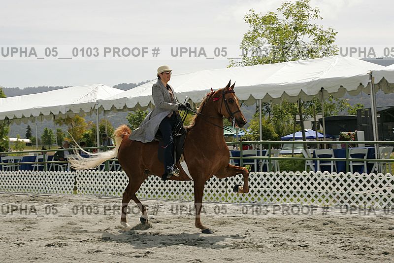Proof upha_05__0103
