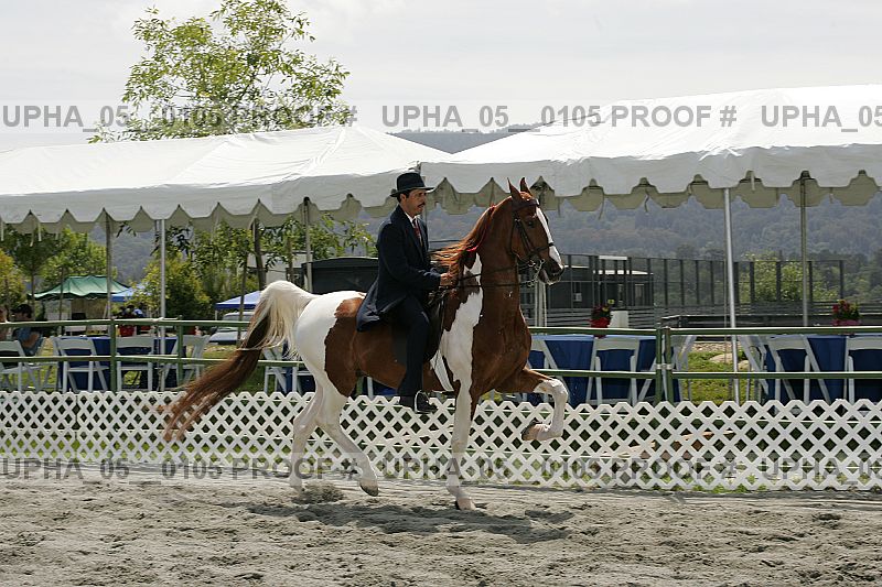 Proof upha_05__0105