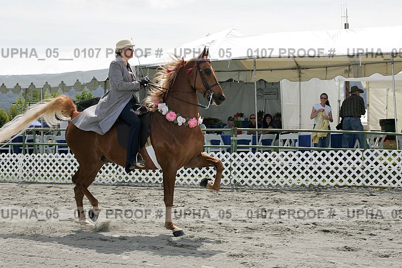 Proof upha_05__0107