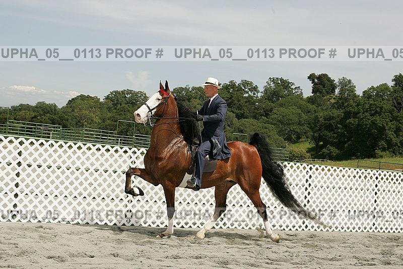 Proof upha_05__0113