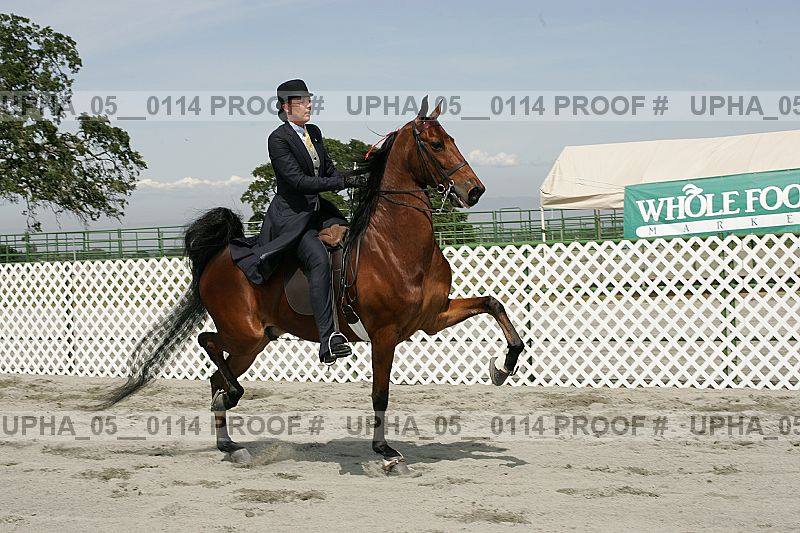 Proof upha_05__0114