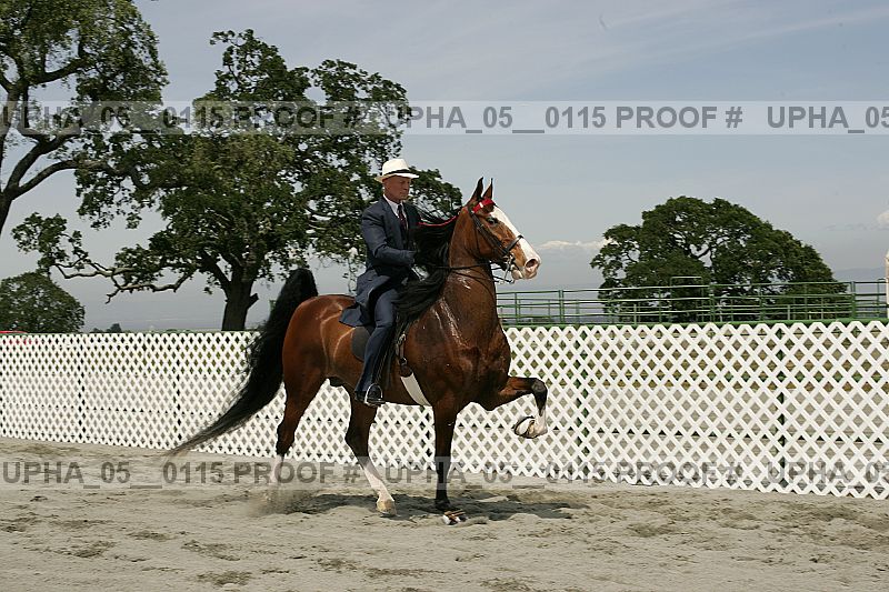 Proof upha_05__0115
