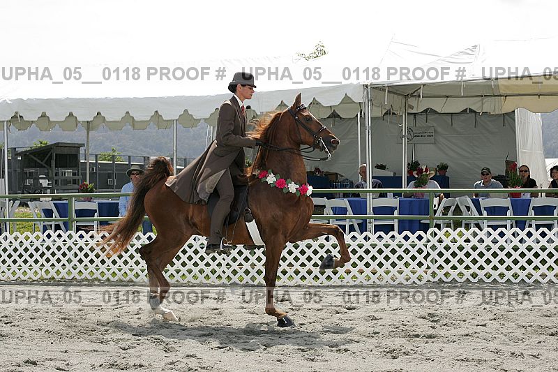 Proof upha_05__0118