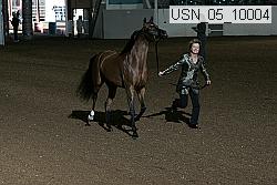 usn_05_10004 proof