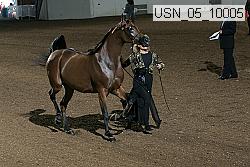 usn_05_10005 proof