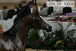 usn_05_10006 proof