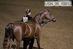 usn_05_10012 proof