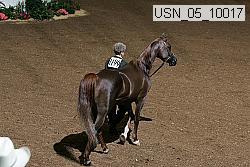 usn_05_10017 proof