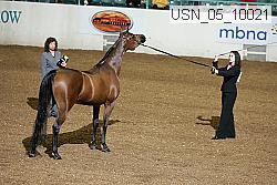 usn_05_10021 proof