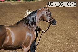 usn_05_10045 proof