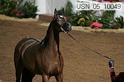 usn_05_10049 proof