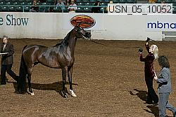 usn_05_10052 proof