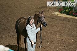 usn_05_10055 proof