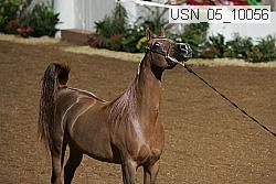 usn_05_10056 proof