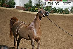 usn_05_10057 proof