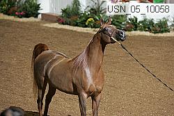 usn_05_10058 proof