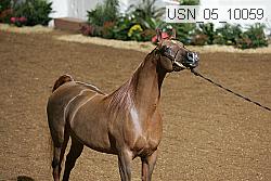 usn_05_10059 proof