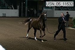 usn_05_11532 proof