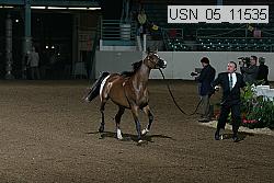 usn_05_11535 proof