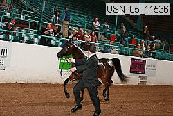 usn_05_11536 proof