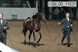 usn_05_11537 proof