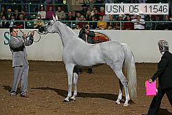 usn_05_11546 proof