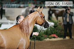 usn_05_11588 proof