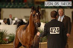 usn_05_14135 proof
