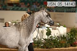 usn_05_14143 proof