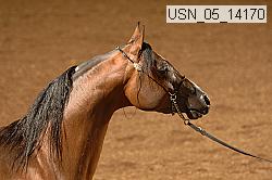 usn_05_14170 proof