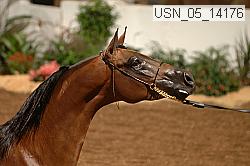 usn_05_14176 proof