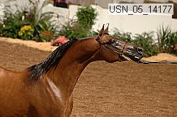 usn_05_14177 proof