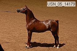 usn_05_14179 proof
