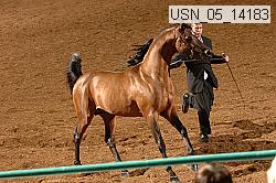usn_05_14183 proof