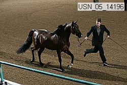 usn_05_14196 proof