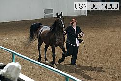 usn_05_14203 proof