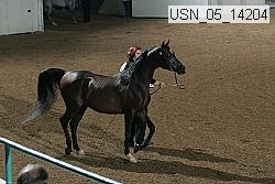 usn_05_14204 proof