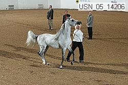 usn_05_14206 proof