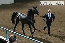 usn_05_14208 proof
