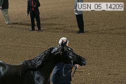 usn_05_14209 proof