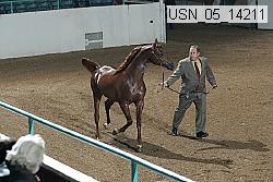 usn_05_14211 proof