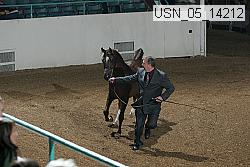 usn_05_14212 proof